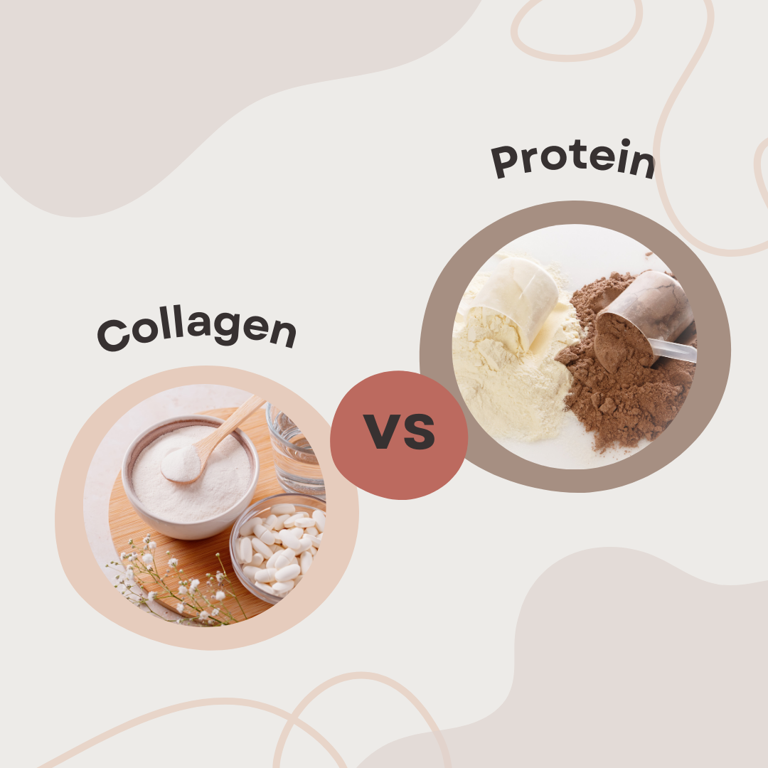 Collagen vs. Protein Powder: Does One Replace The Other?