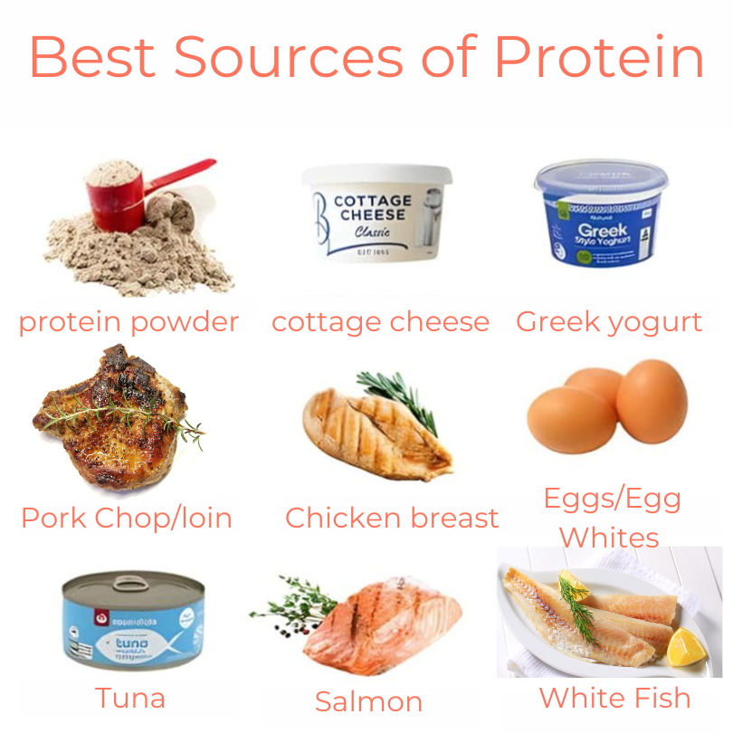 Best source of protein for muscle building