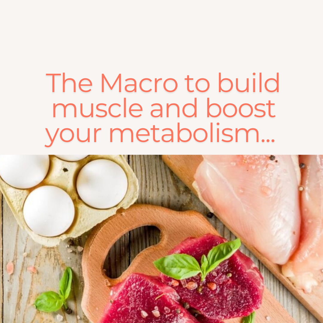 The Power of Protein To Build Muscle and Burning Fat